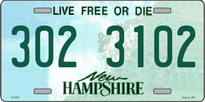 NH license plate 3023102