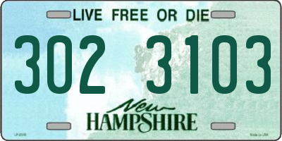 NH license plate 3023103