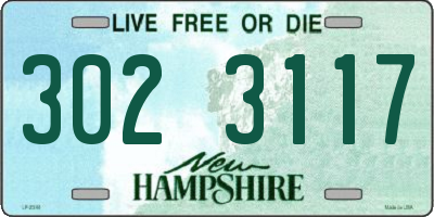 NH license plate 3023117