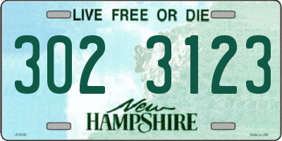 NH license plate 3023123