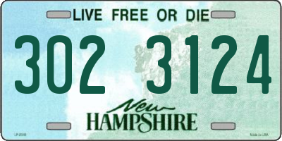 NH license plate 3023124