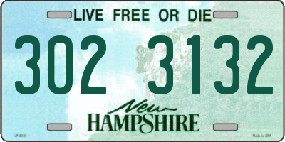 NH license plate 3023132