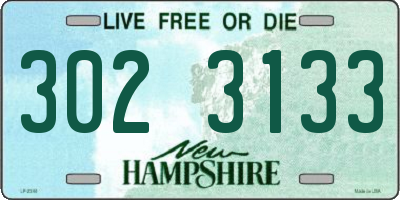 NH license plate 3023133