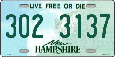 NH license plate 3023137