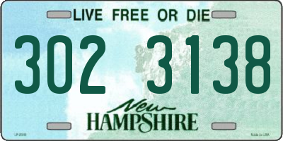 NH license plate 3023138