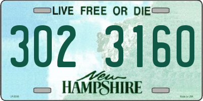 NH license plate 3023160