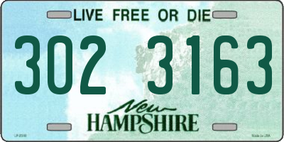 NH license plate 3023163