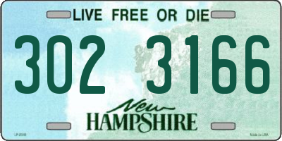 NH license plate 3023166