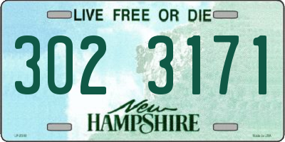 NH license plate 3023171