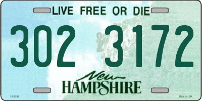 NH license plate 3023172