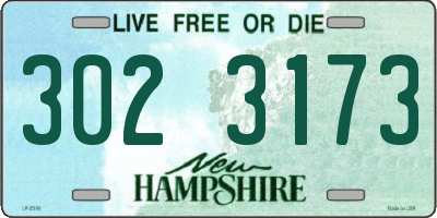 NH license plate 3023173