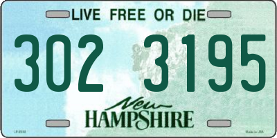 NH license plate 3023195