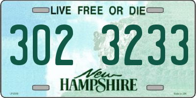 NH license plate 3023233