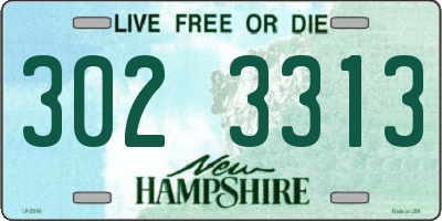 NH license plate 3023313