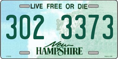 NH license plate 3023373