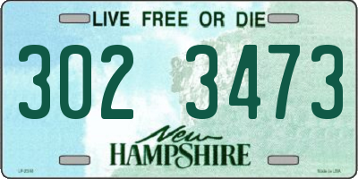NH license plate 3023473