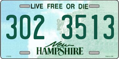 NH license plate 3023513
