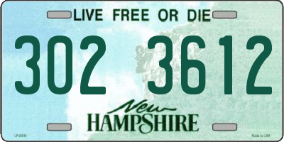 NH license plate 3023612