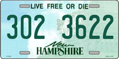 NH license plate 3023622