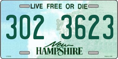 NH license plate 3023623
