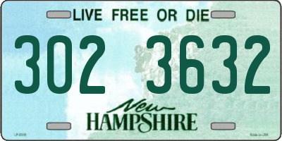 NH license plate 3023632