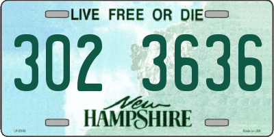 NH license plate 3023636