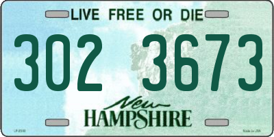 NH license plate 3023673