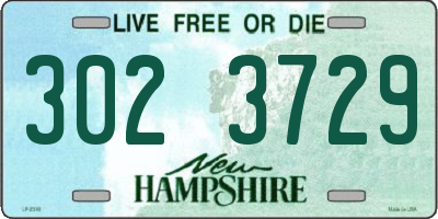 NH license plate 3023729