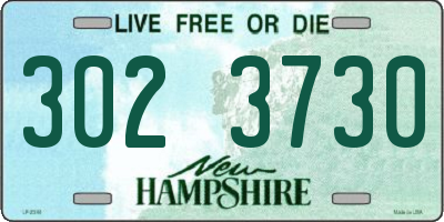 NH license plate 3023730
