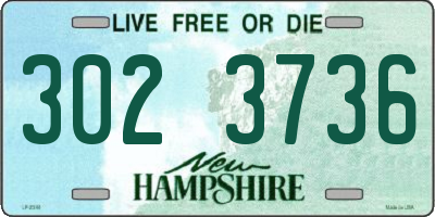 NH license plate 3023736