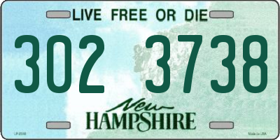 NH license plate 3023738