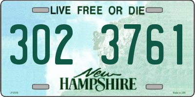 NH license plate 3023761
