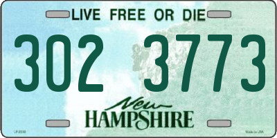 NH license plate 3023773
