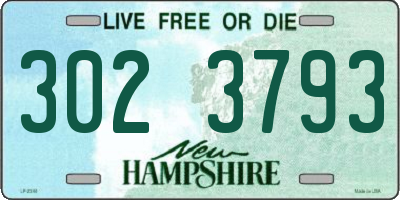 NH license plate 3023793