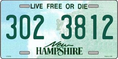 NH license plate 3023812