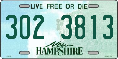 NH license plate 3023813