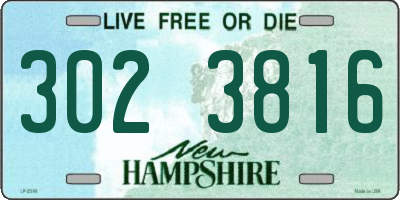 NH license plate 3023816