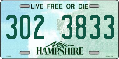 NH license plate 3023833