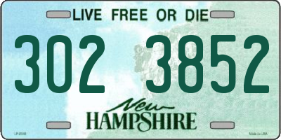 NH license plate 3023852
