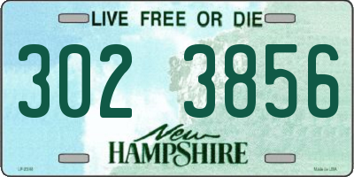 NH license plate 3023856