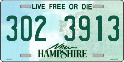 NH license plate 3023913