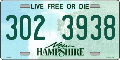 NH license plate 3023938