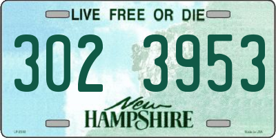 NH license plate 3023953