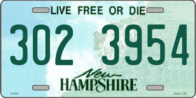 NH license plate 3023954