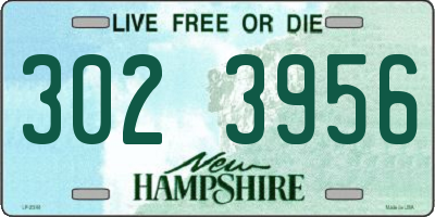 NH license plate 3023956