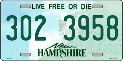 NH license plate 3023958