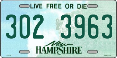 NH license plate 3023963