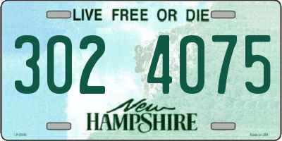 NH license plate 3024075