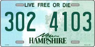 NH license plate 3024103