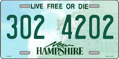NH license plate 3024202